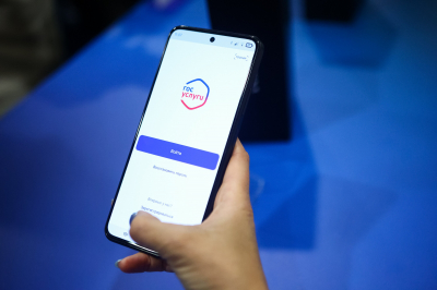 &laquo;Выплаты к 9 Мая &mdash; ловушка&raquo;: мошенники создали фальшивые &laquo;Госуслуги&raquo; для кражи данных россиян