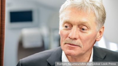 В ФРГ осудили решение Мерца строить жилье на Украине