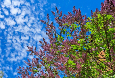 Москву накроет аномальное тепло до +18