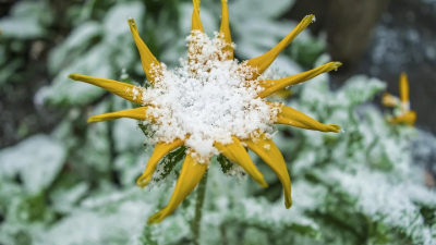 Штормовое предупреждение: туман, местами - гололед прогнозируют в РК