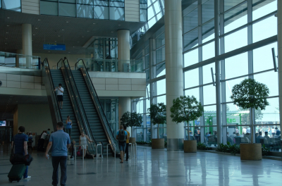 Верховный суд отказал Каменщику в возврате &laquo;Домодедово&raquo;