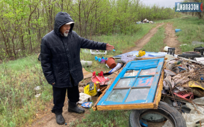 Питомник с молодыми деревьями превратили в свалку