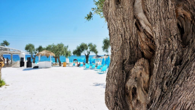 Profi.travel объяснил, грозит ли туристам закрытие курортов из-за траура в Таиланде