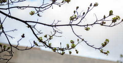 Синоптик Ильин: в Астраханской области на Пасху будет выше +20 градусов