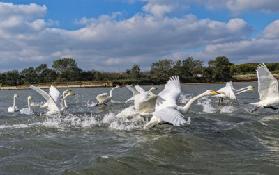 Экологическая привлекательность повышает экономическую стоимость регионов