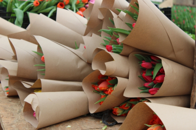 В Свердловской области уничтожат цветы из Латвии: в них затаился &laquo;чужой&raquo;