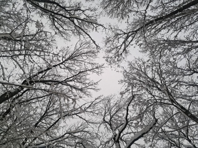 Снег, гололед и резкое похолодание: как начнется следующая неделя в Приморье