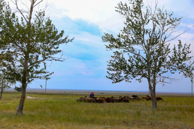 Токаев: Положение дел на селе – вопрос стратегической важности для Казахстана