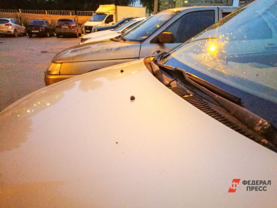 ОСАГО в Приморье: выплаты бьют рекорды, а мошенники находят лазейки