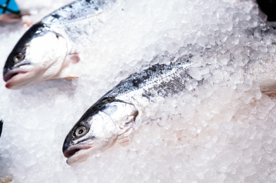 Врач Кашух заявила, что пойманную рыбу нужно потрошить в течение 1-2 часов