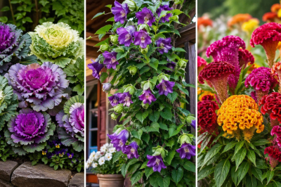 Заезженные петунии и бархатцы ушли в прошлое: необычные трудяги для сада &mdash; и все взгляды тянутся к ним. Клумба как с картинки