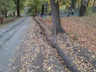 Это не площадка для урбанистических экспериментов: активисты потребовали остановить строительные работы в роще Баума