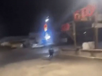 Побег мужчины в полицейской форме сняли на видео в Талгаре