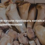 Россияне начали пробовать китайскую замену шампиньонам