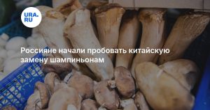 Россияне начали пробовать китайскую замену шампиньонам