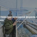 Тысячи тонн пресноводной форели пропали в Армении