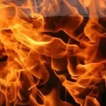 Семейде ағаш кесу цехы алапат өртке оранды
