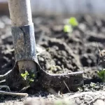 Көкшетауда еден жуушы анасымен бірге жұмысқа барған 4 жасар бала мерт болды
