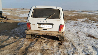 Туши сайгака изъяли у браньера в Кызылординской области