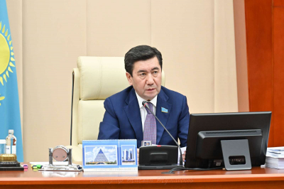 Спикер Мажилиса поручил срочно подготовить законопроект по борьбе с киберпреступностью